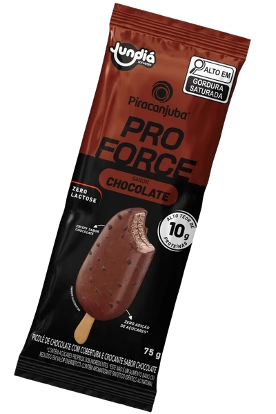 PICOL&Eacute; PROTEICO SABOR CHOCOLATE